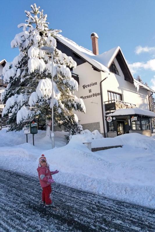U Bernardyna Hotel Harrachov Ngoại thất bức ảnh